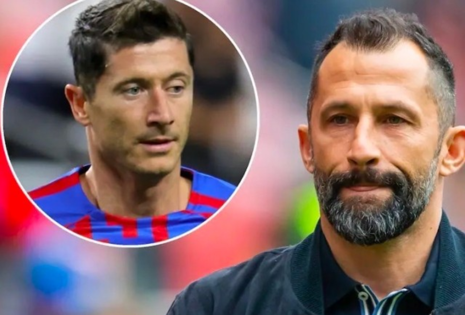 老鹰的奋起 老鹰的奋起