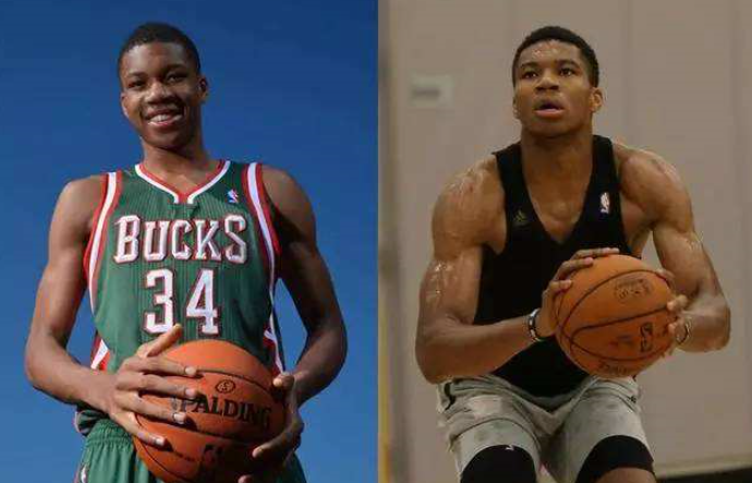 着塞鸟能够 着塞鸟能够