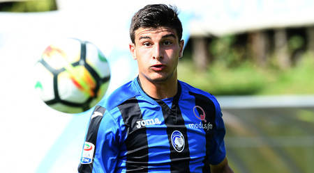 却未能完全 却未能完全