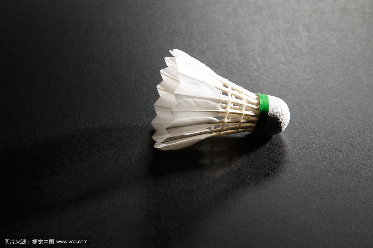 在这场变动 在这场变动